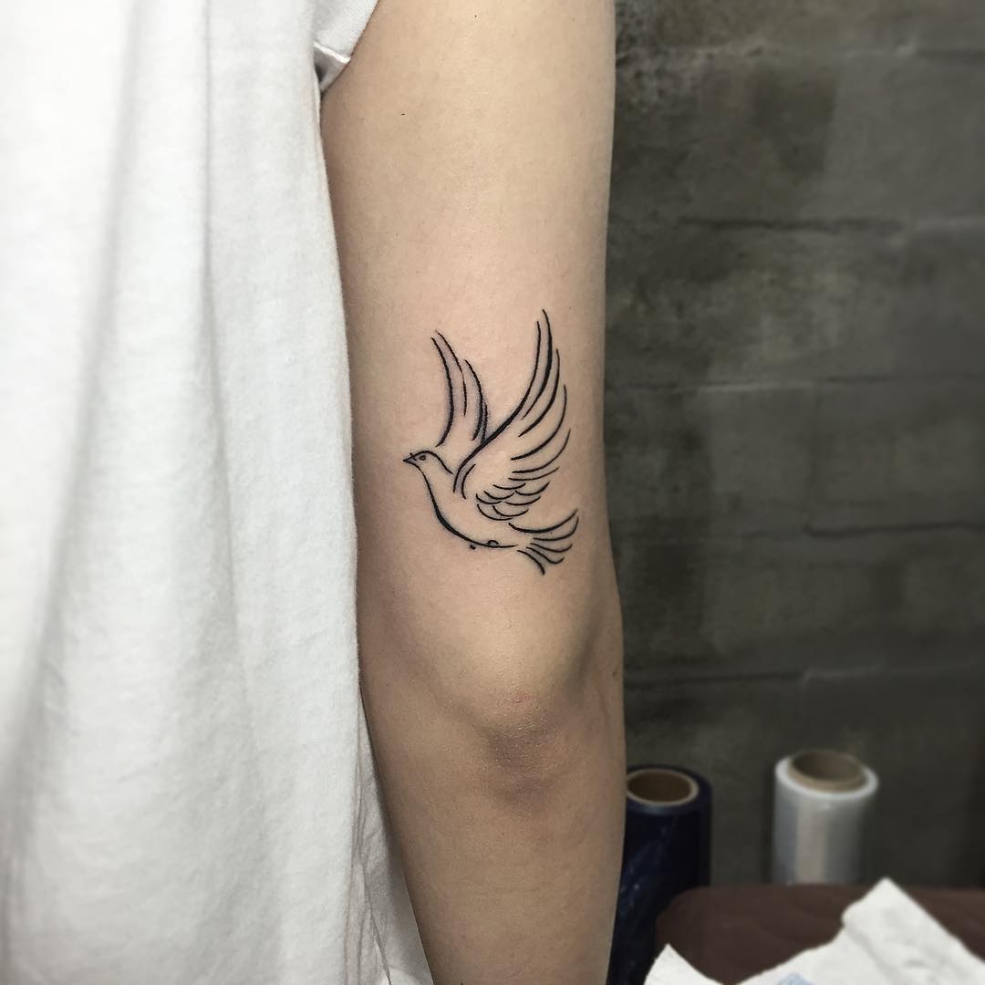 Right Bicep Outline Dove Tattoo