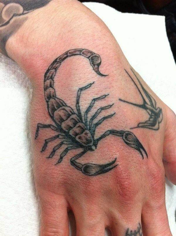 Scorpion Bird Tattoo On Hand For Men