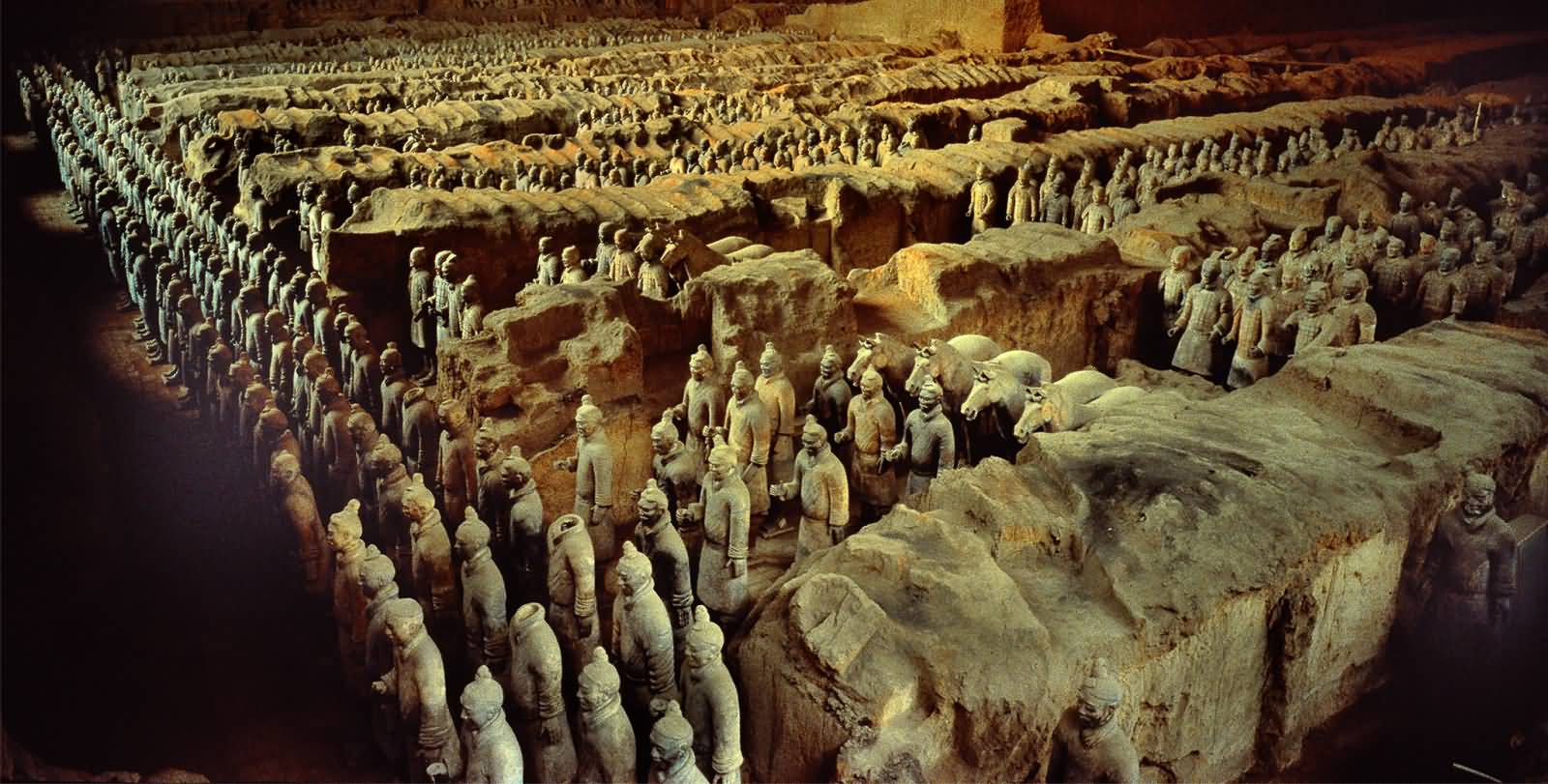 Side View Of The Terracotta Army