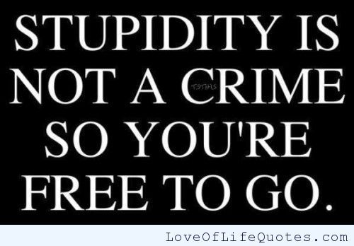 Stupidity is not a crime, so you are free to go