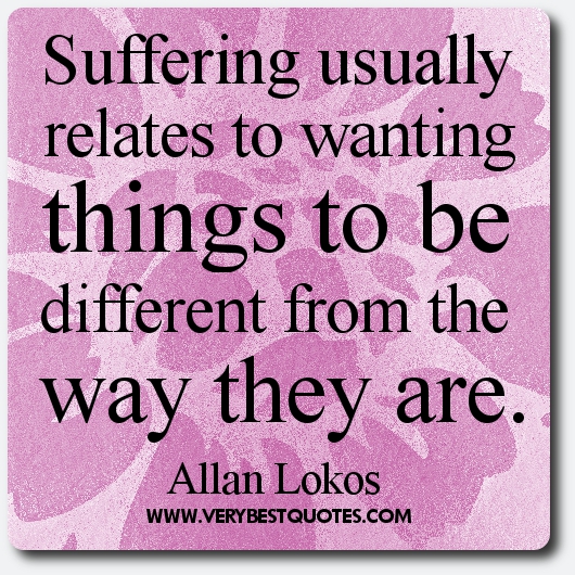 Suffering usually relates to wanting things to be different from the way they are. Allan Lokos