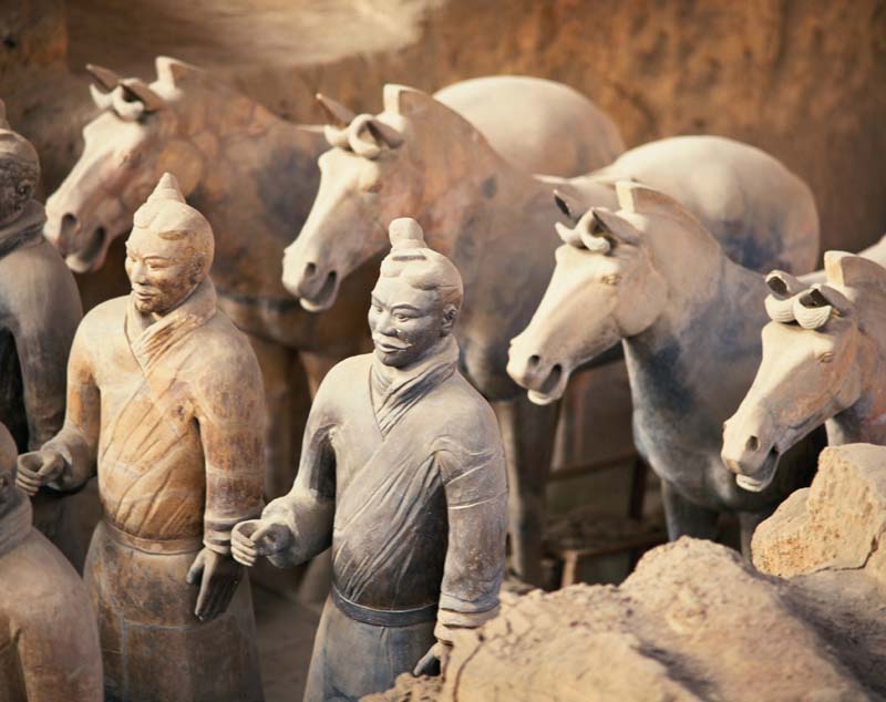Terracotta Army Warriors With Horses