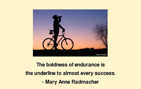 The boldness of endurance is the underline to almost every success.  Mary Anne Radmacher