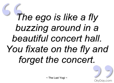 The ego is like a fly buzzing around in a beautiful concert hall. You fixate on the fly and forget the concert.  The Lazi Yogi