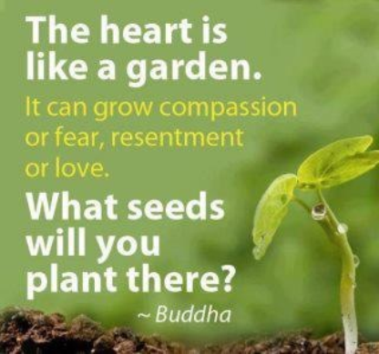 The heart is like a garden. It can grow compassion or fear, resentment or love. What seeds will you plant there1 Buddha