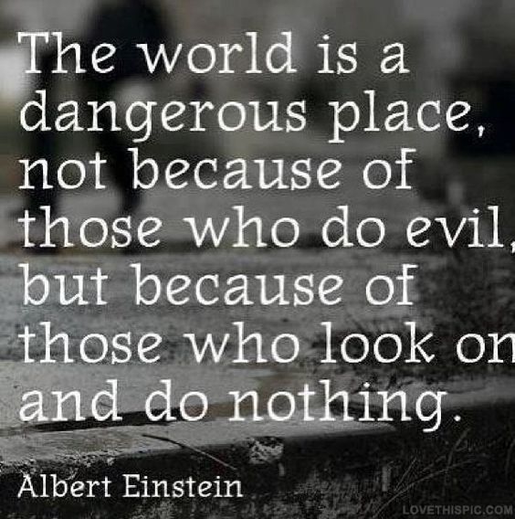 The world is a dangerous place, not because of those who do evil, but because of those who look on and do nothing. Albert Einstein