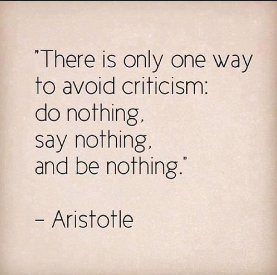 There is only one way to avoid criticism, do nothing,  say nothing, and be nothing.