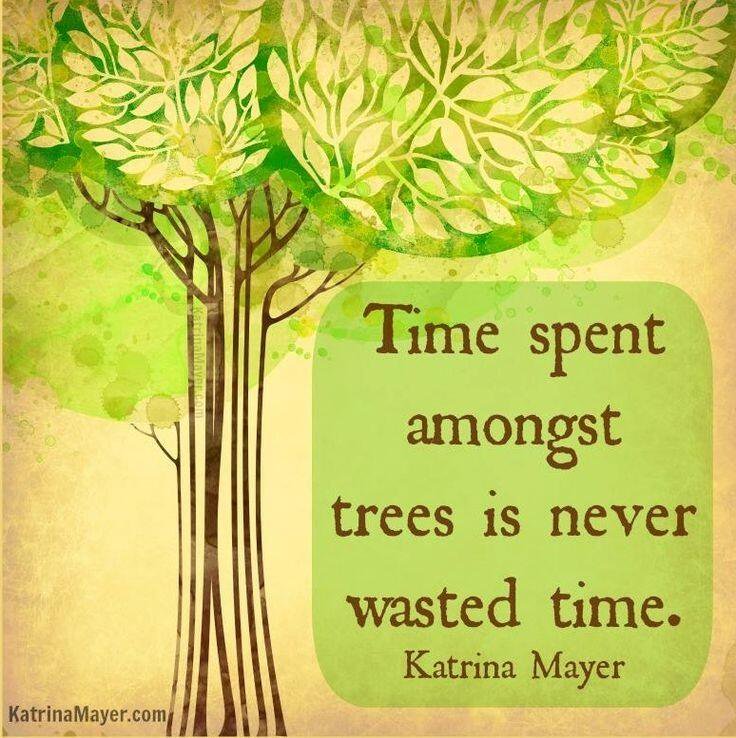 Time spent amongst trees is never wasted time - Katrina  Mayer