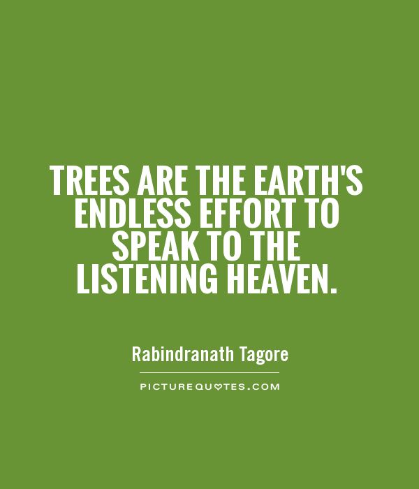 Trees are the earth's endless effort to speak to the  listening heaven - Rabindranath Tagore