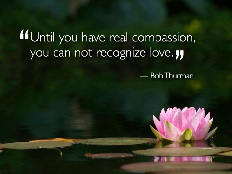 Until you have real compassion you cannot recognize love. Bob Thurman