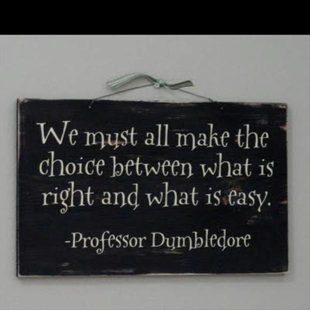 We Must All Make The Choice Between What Is Right And What Is Easy. Professor Dumbledore
