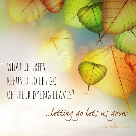 What if trees refused to let go of their dying  leaves1&letting go lets us grow