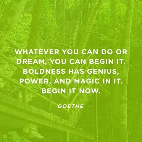 Whatever you can do or dream you can, begin it.Boldness has genius, power and magic in it. John Anster