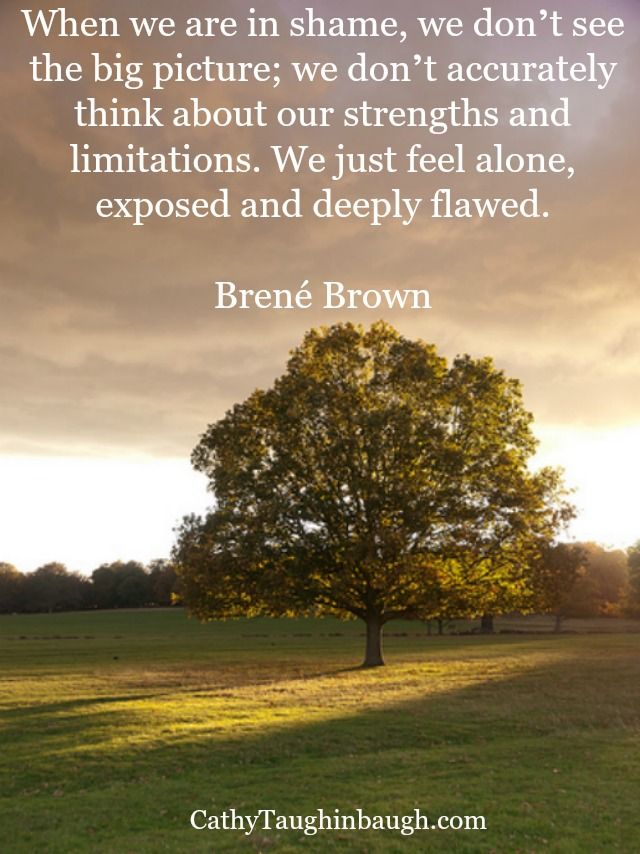 When we are in shame, we don't see the big picture; we don't accurately think about our strengths and limitations. We just feel alone, exposed and deeply flawed. Brene Brown