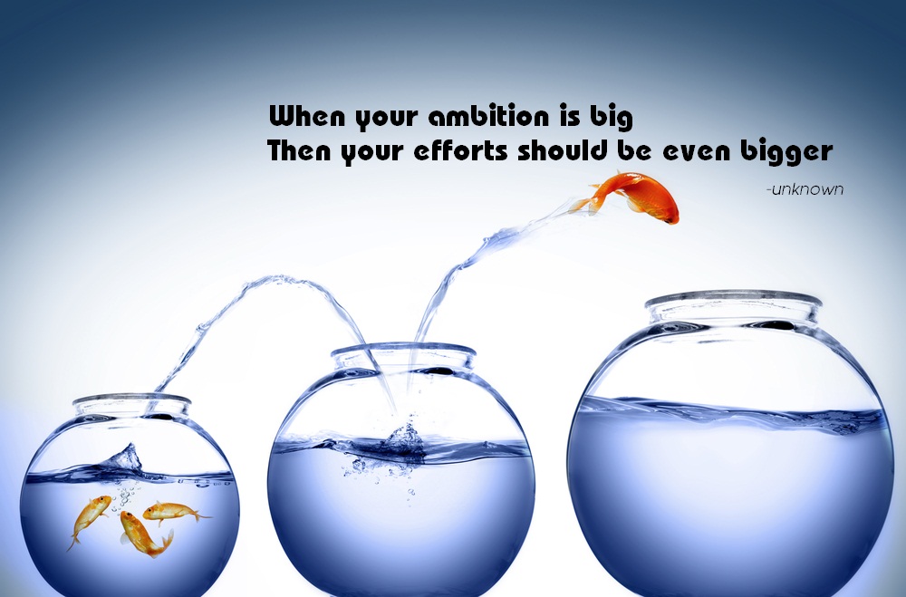 When your ambition is big then efforts should be ever bigger
