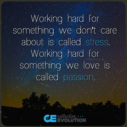 Working hard for something we don't care about is called stress; working hard for something we love is called passion