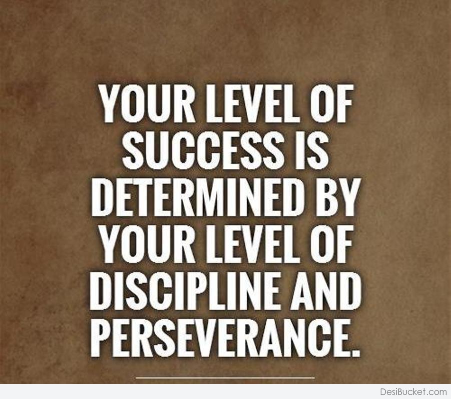 Your level of success is determined by your level of discipline and perseverance.