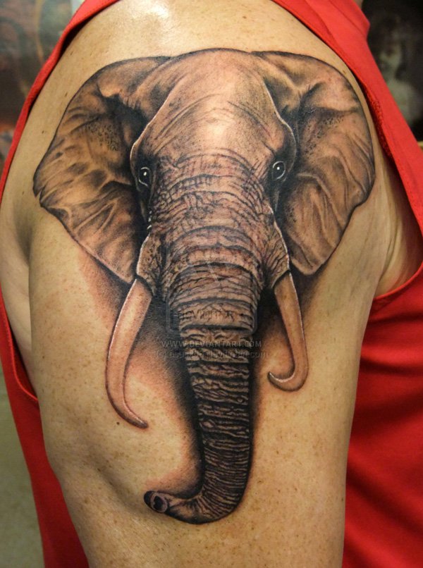 3D Elephant Head Tattoo Design For Shoulder