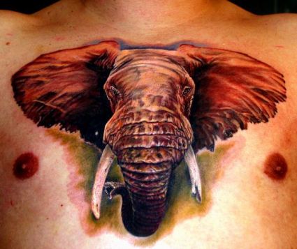 3D Elephant Head Tattoo On Man Chest
