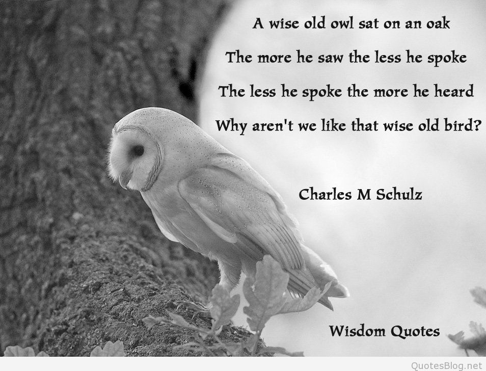 A wise old owl sat in an oak;. The more he saw the less he spoke;. The less he spoke the more he heard;. Why can't we all be like that wise old ... Charles M Schulz