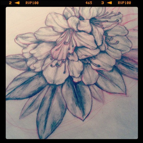 Amazing Rhododendron Flowers Tattoo Design