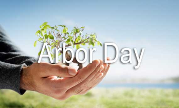 Arbor Day Tree In Hand
