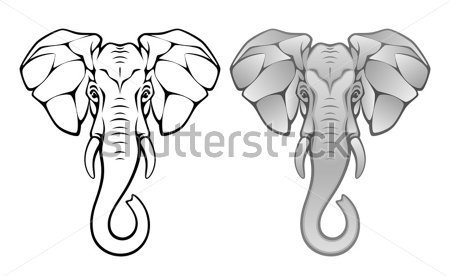 Awesome Two Elephants Head Tattoo Design