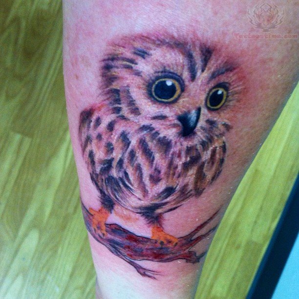 Baby Owl Sit On Branch Tattoo