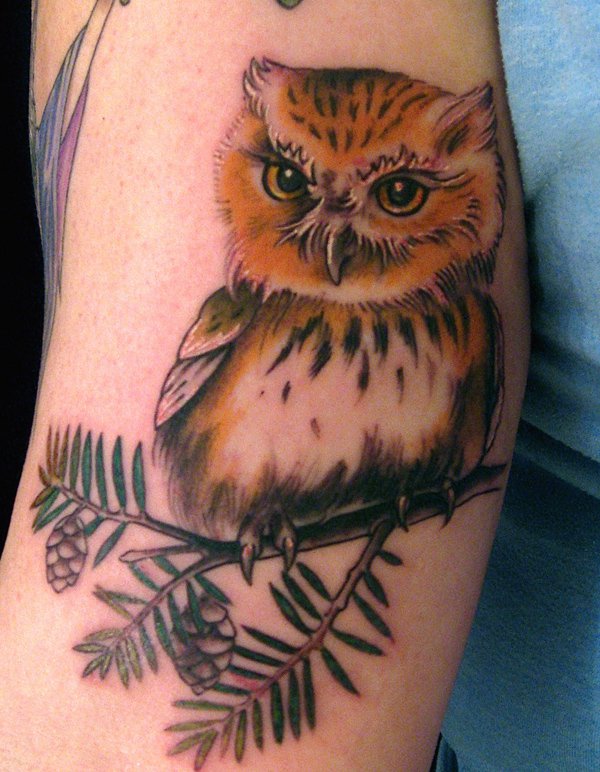 Baby Owl Sit on Tree Branch Tattoo On Bicep