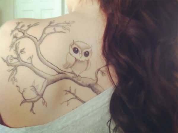 Baby Owl Sit on Tree Tattoo On Left Back Shoulder
