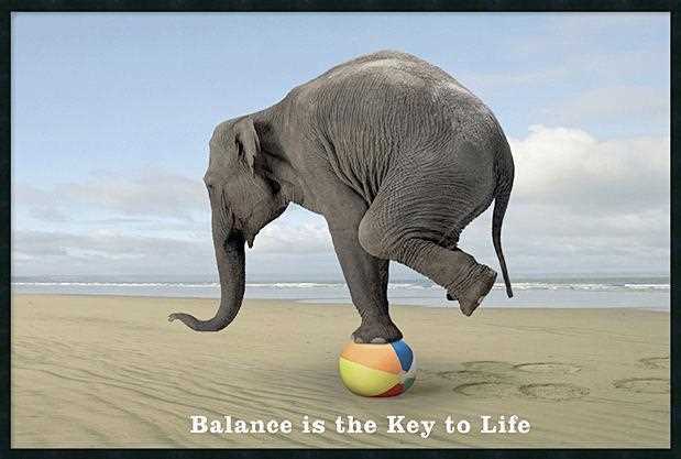 Balance Is The Key To Life.