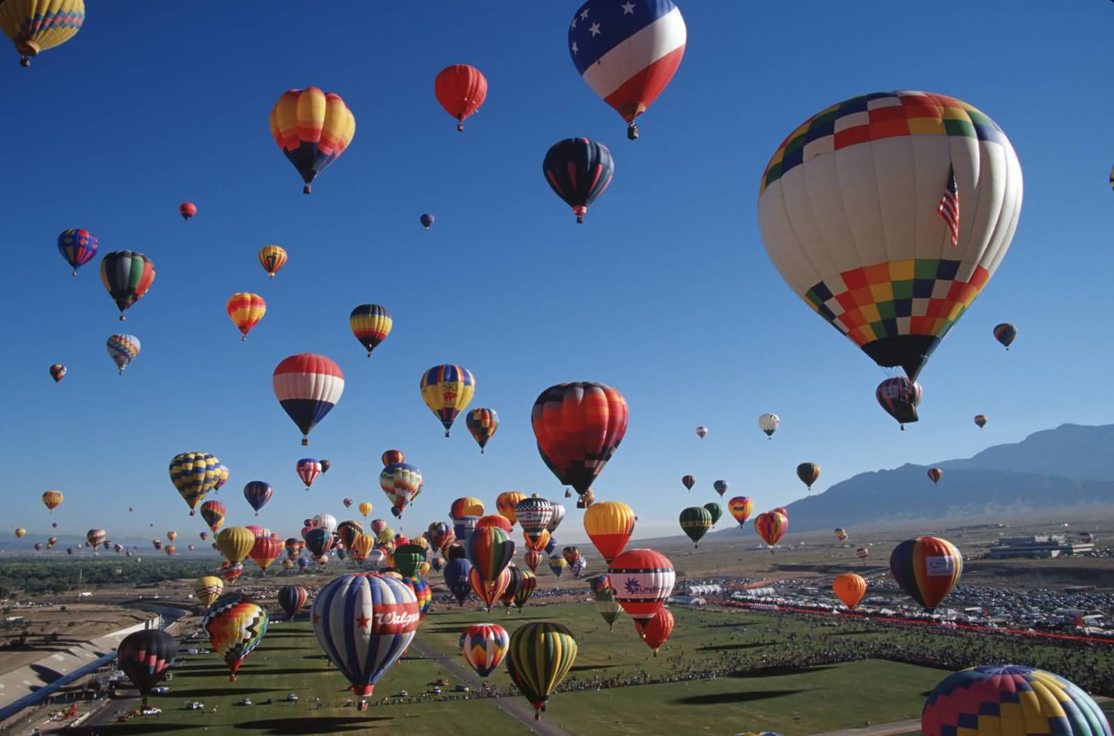 Balloons In The Air At The Albuquerque Balloon Festival