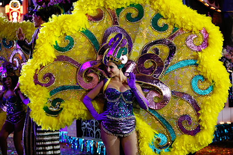 Beautiful Girl In Costume During Mardi Gras Parade