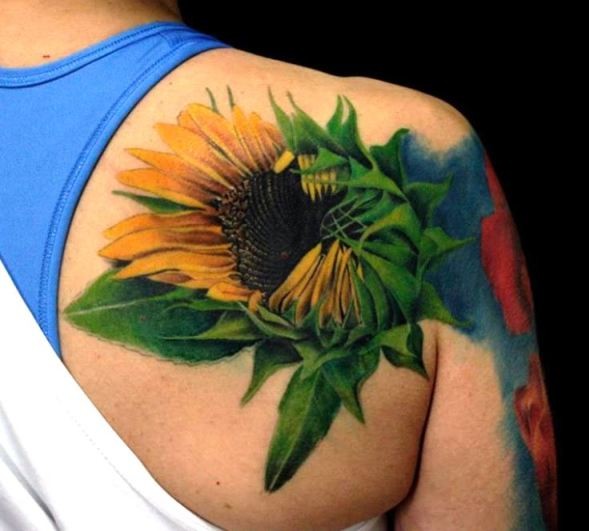 Beautiful Realistic Sunflower Tattoo On Right Back Shoulder