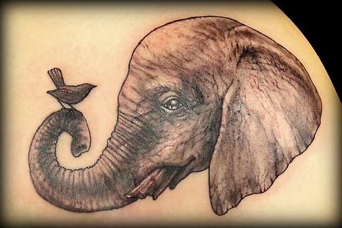Bird On Elephant Trunk Tattoo Design
