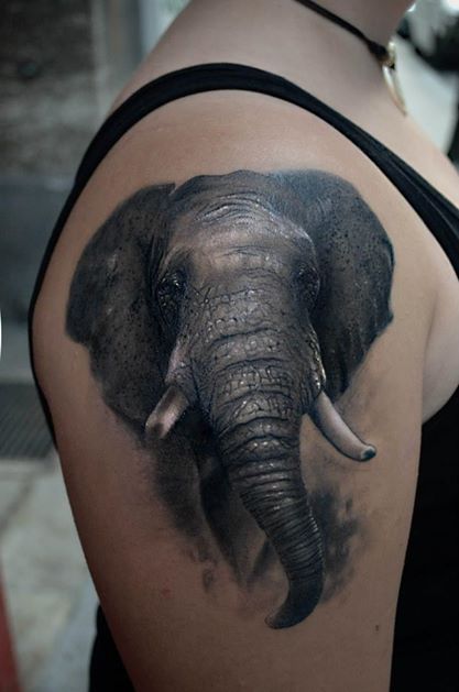 Black And Grey 3D Elephant Head Tattoo On Right Shoulder