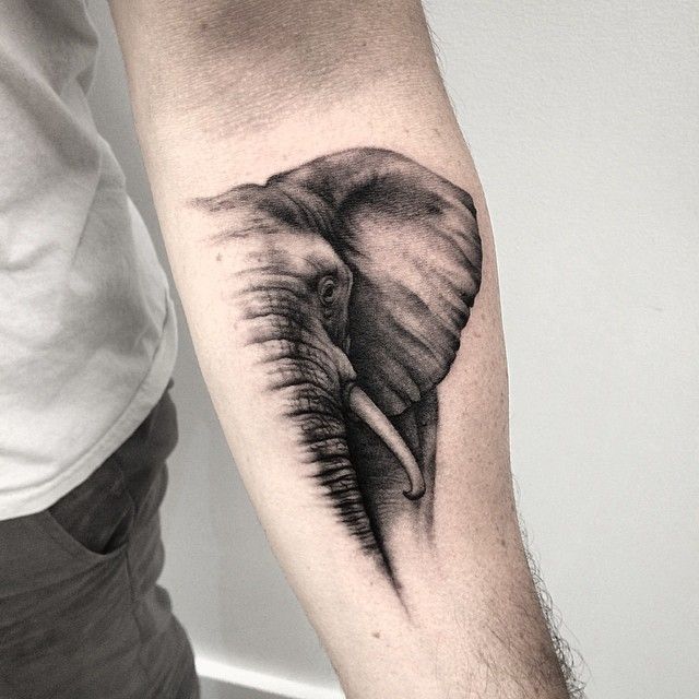 Black And Grey 3D Elephant Tattoo On Forearm