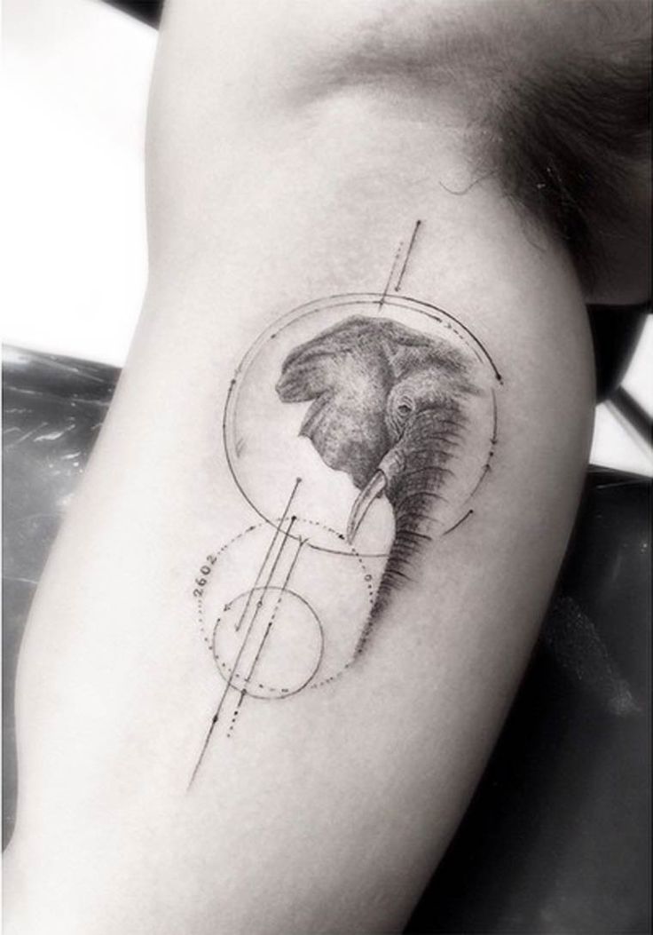 Black And Grey Elephant Head Tattoo On Bicep
