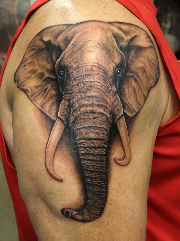 Black And Grey Elephant Head Tattoo On Right Shoulder By Asussman