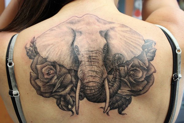 Black And Grey Elephant Head With Roses Tattoo On Girl Upper Back