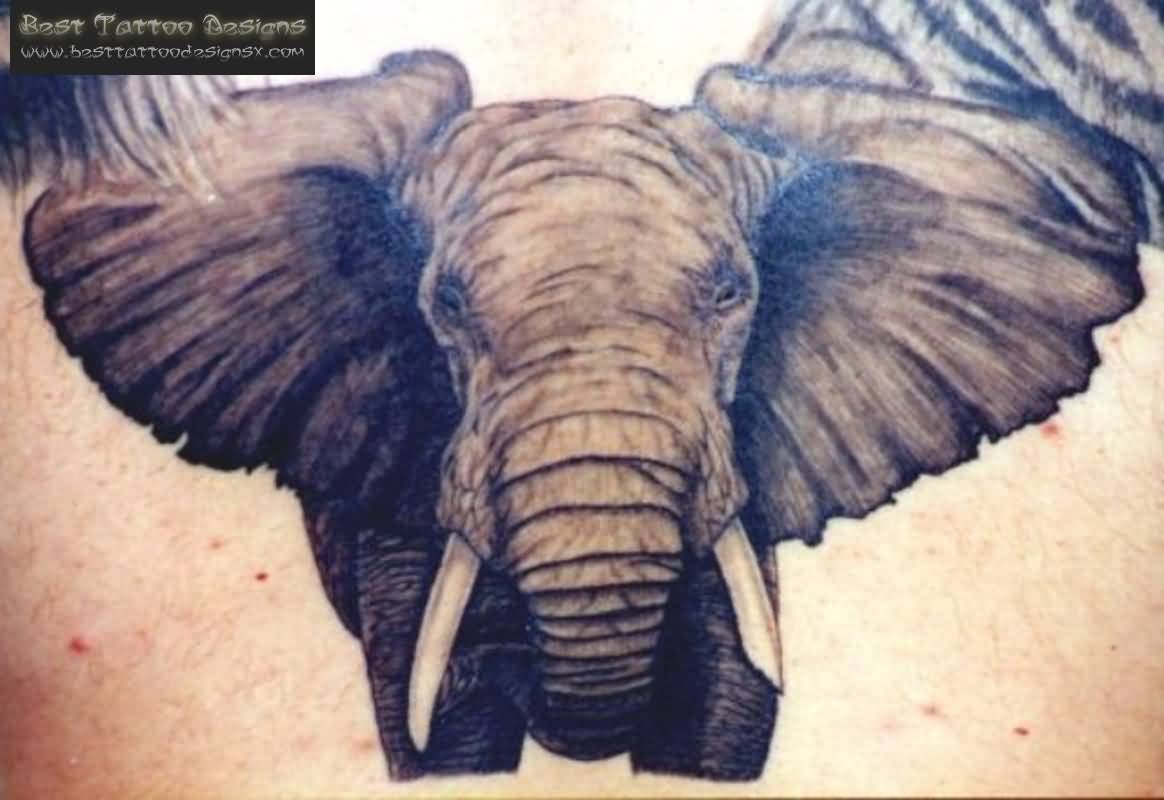 Black And Grey Elephant Tattoo Design For Back