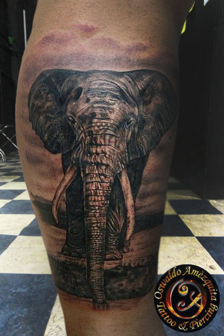 Black And Grey Elephant Tattoo Design For Leg