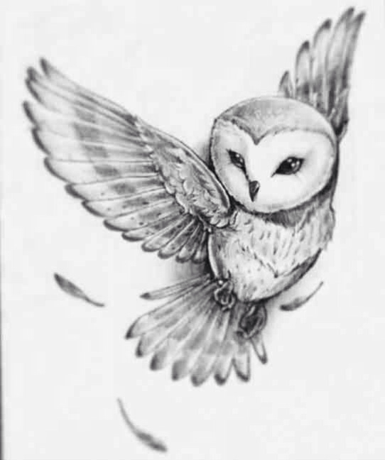 Black And Grey Flying Owl Tattoo Design