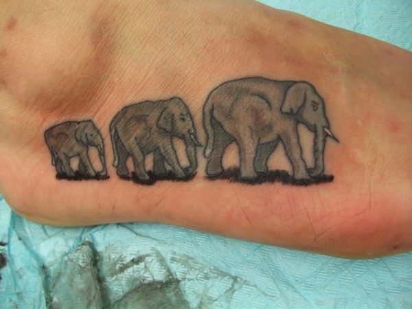 Black And Grey Three Elephant Tattoo On Right Foot