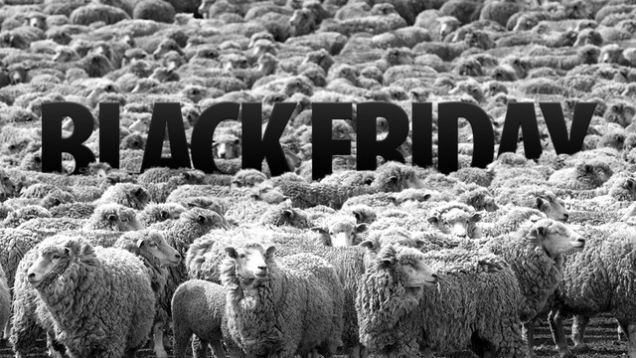 Black Friday Sheep Picture