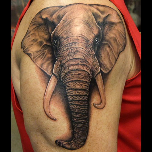 Black Ink 3D Asian Elephant Tattoo On Right Shoulder