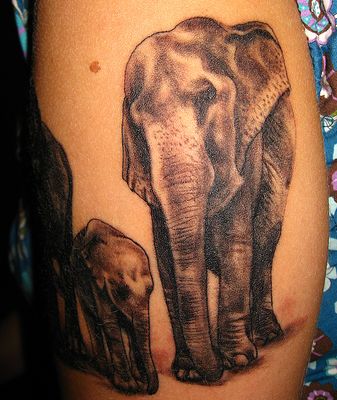 Black Ink Asian Elephant Family Tattoo Design For Half Sleeve
