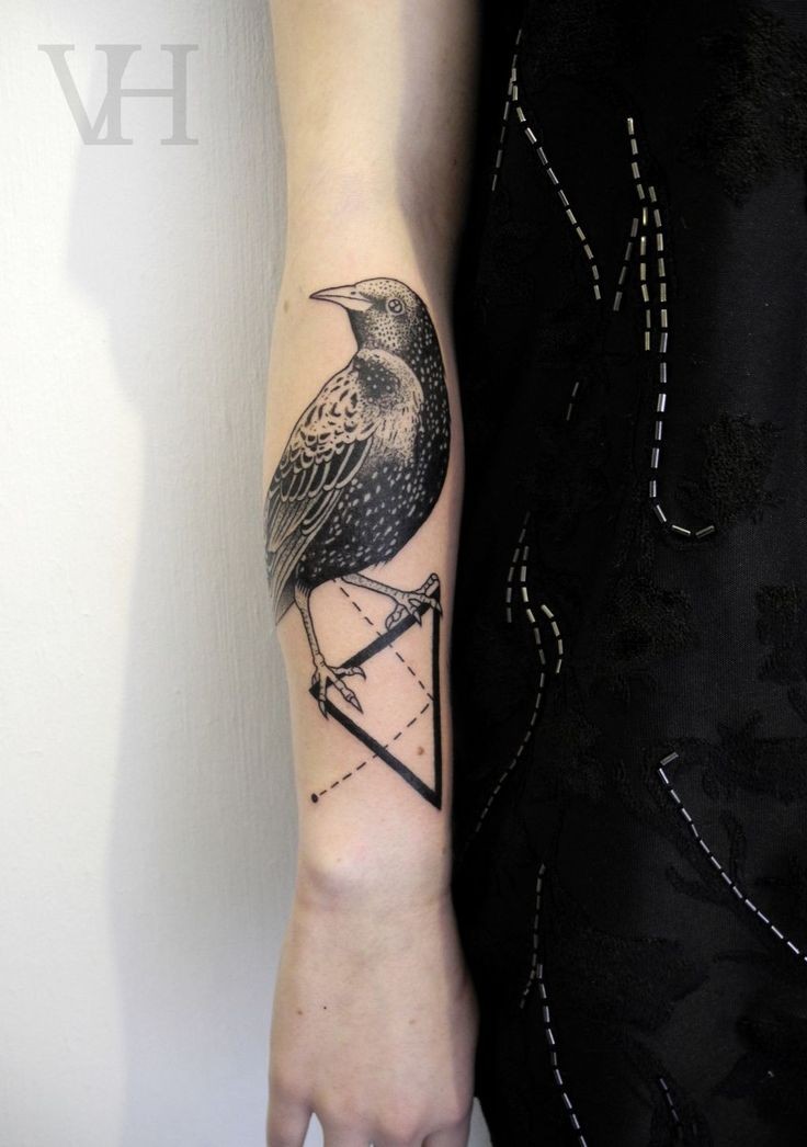 Black Ink Bird On Triangle Tattoo On Right Arm By Valentin Hirsch