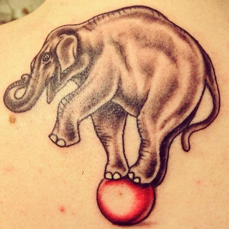Black Ink Circus Elephant On Red Ball Tattoo Design For Upper Back