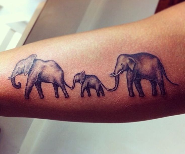 Black Ink Elephant Family Tattoo Design For Sleeve